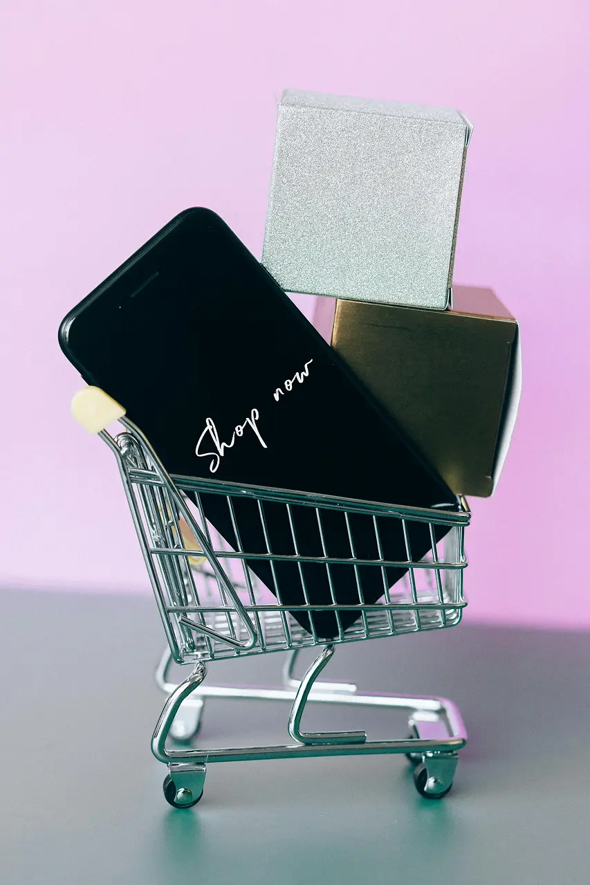 Agregamos un e-commerce a tu sitio web para vender tus productos
